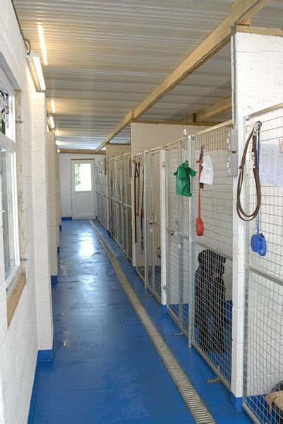 tudor lodge kennels|luxury boarding kennels uk.